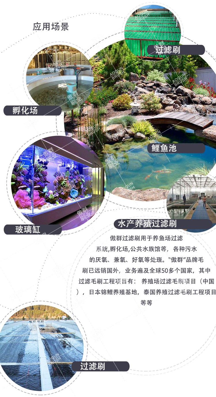 傲群的鱼卵孵化刷会伤害到鱼卵吗 三水见闻网